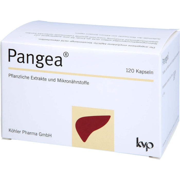 Pangea, 120 St KAP