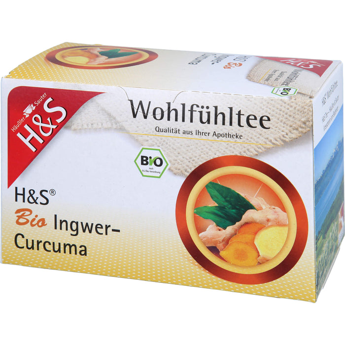 H&S Bio Ingwer-Curcuma, 20X1.25 g FBE