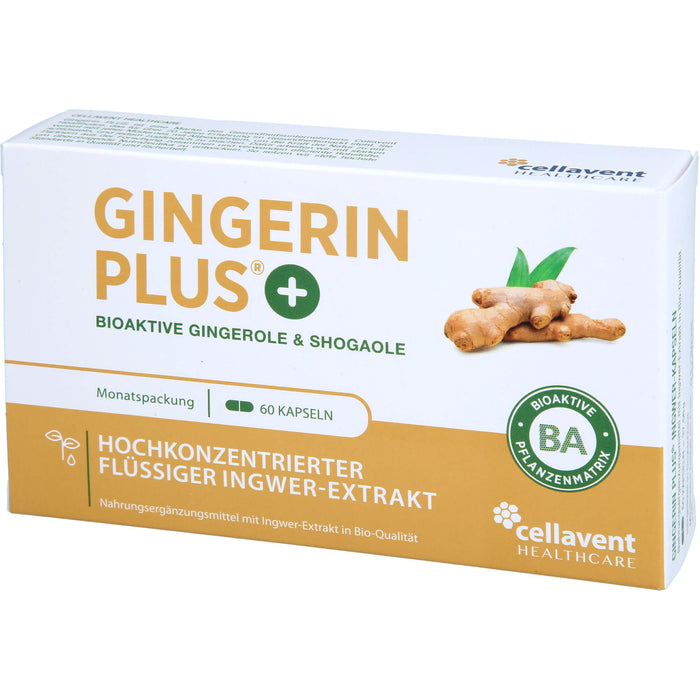 Gingerin PLUS, 60 St KAP