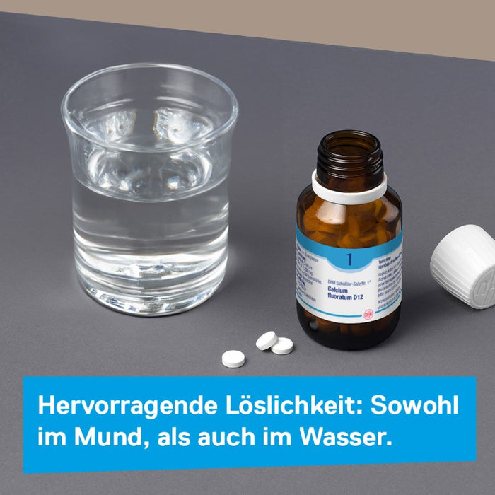 DHU Schüßler-Salz Nr. 1 Calcium fluoratum D12 – Das Mineralsalz des Bindegewebes, der Gelenke und Haut – das Original – umweltfreundlich im Arzneiglas, 200 pc Tablettes