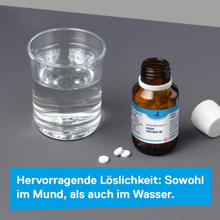 DHU Schüßler-Salz Nr. 4 Kalium chloratum D6 – Das Mineralsalz der Schleimhäute – das Original – umweltfreundlich im Arzneiglas, 420 pcs. Tablets