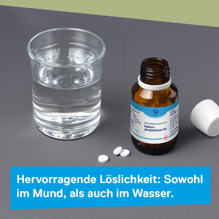 DHU Schüßler-Salz Nr. 9 Natrium phosphoricum D3 – Das Mineralsalz des Stoffwechsels – das Original – umweltfreundlich im Arzneiglas, 200 pc Tablettes