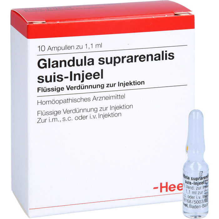 Glandula suprarenalis suis-Injeel Ampullen, 10 St. Ampullen