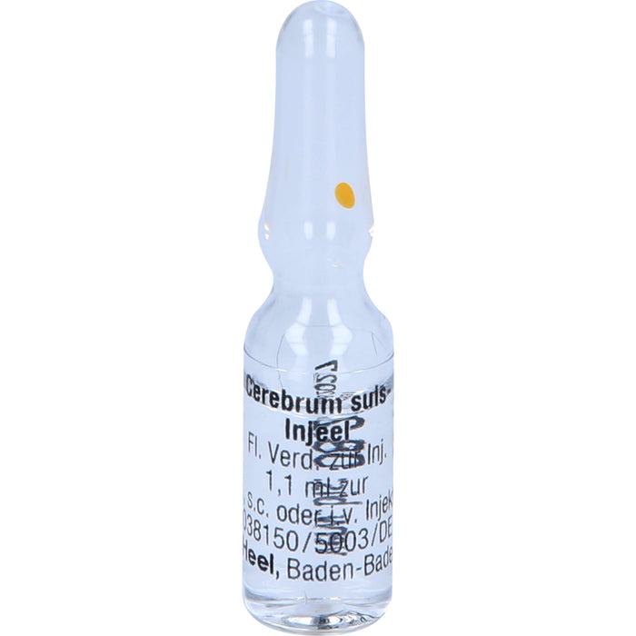 Cerebrum suis-Injeel flüssige Verdünnung, 10 pcs. Ampoules