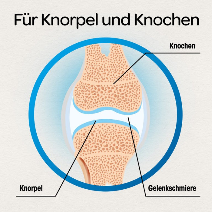 Dr Böhm Gelenke & Knorpel Tabletten, 120 St. Tabletten