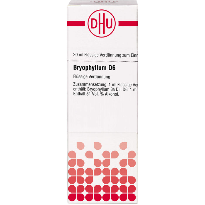 Bryophyllum D6 DHU Dilution, 20 ml DIL