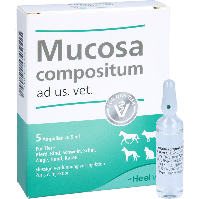 Heel Mucosa compositum ad us. vet. Ampullen, 5 pcs. Ampoules