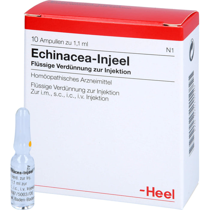 Echinacea-Injeel flüssige Verdünnung, 10 pc Ampoules