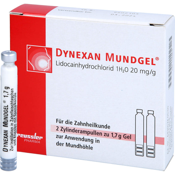 DYNEXAN Mundgel, 2% Gel, 2X1.7 g GEL