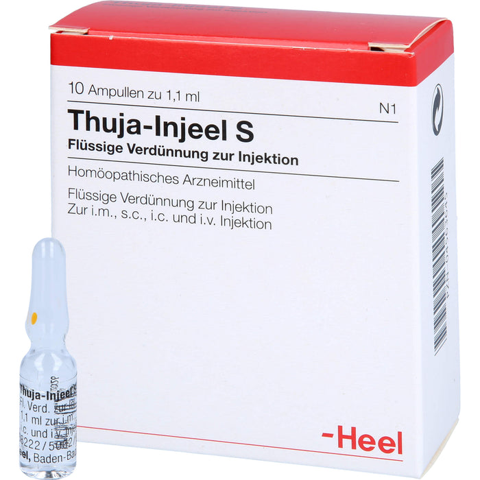 Thuja-Injeel S flüssige Verdünnung, 10 pc Ampoules