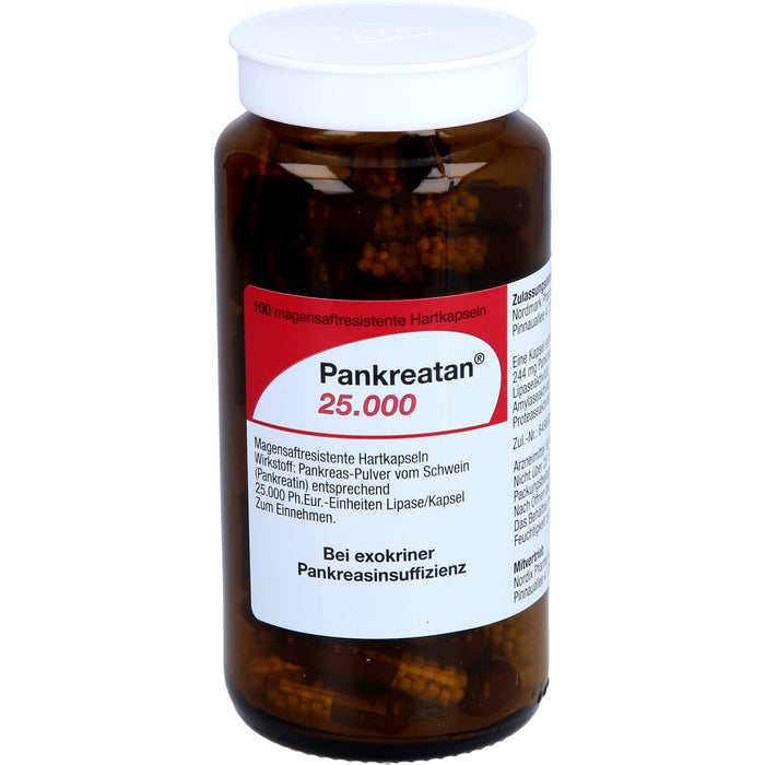 Pankreatan 25.000, Magensaftresistente Hartkapseln, 100 pcs. Capsules