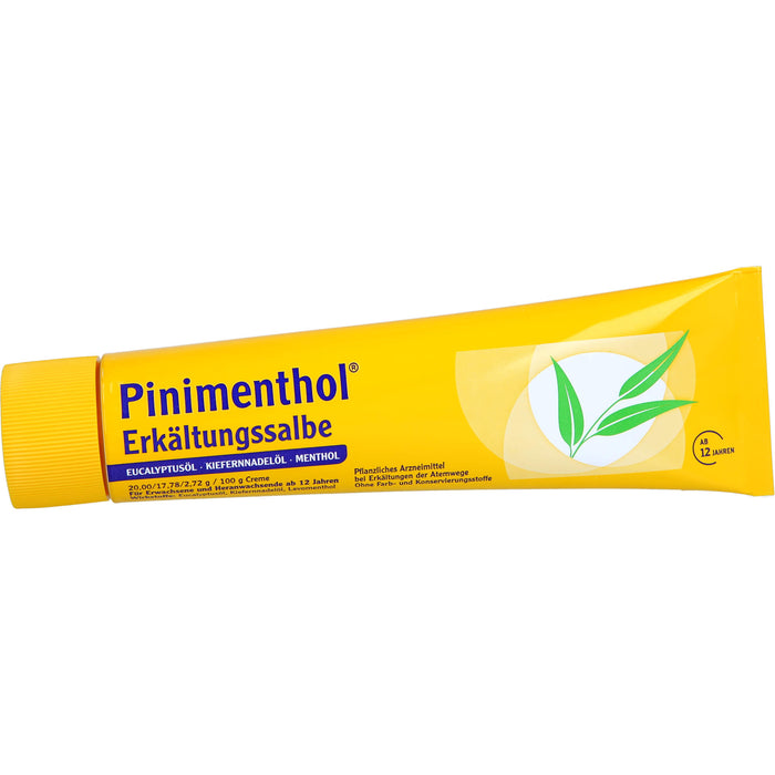 Pinimenthol Erkältungssalbe, 100 g Cream