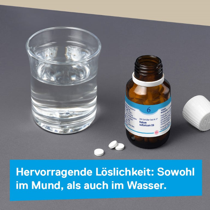 DHU Schüßler-Salz Nr. 6 Kalium sulfuricum D12 – Das Mineralsalz der Entschlackung – das Original – umweltfreundlich im Arzneiglas, 420 pcs. Tablets