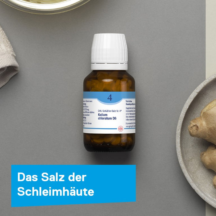 DHU Schüßler-Salz Nr. 4 Kalium chloratum D12 – Das Mineralsalz der Schleimhäute – das Original – umweltfreundlich im Arzneiglas, 900 St. Tabletten