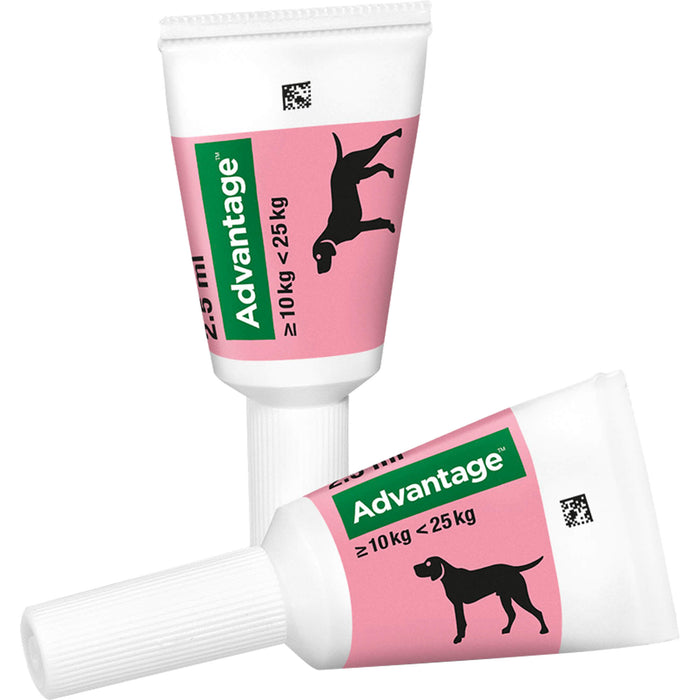 Advantage 250 mg Lösung zum Auftropfen bei Hunden, 4 St. Ampullen