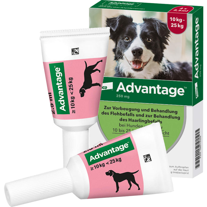 Advantage 250 mg Lösung zum Auftropfen bei Hunden, 4 pcs. Ampoules