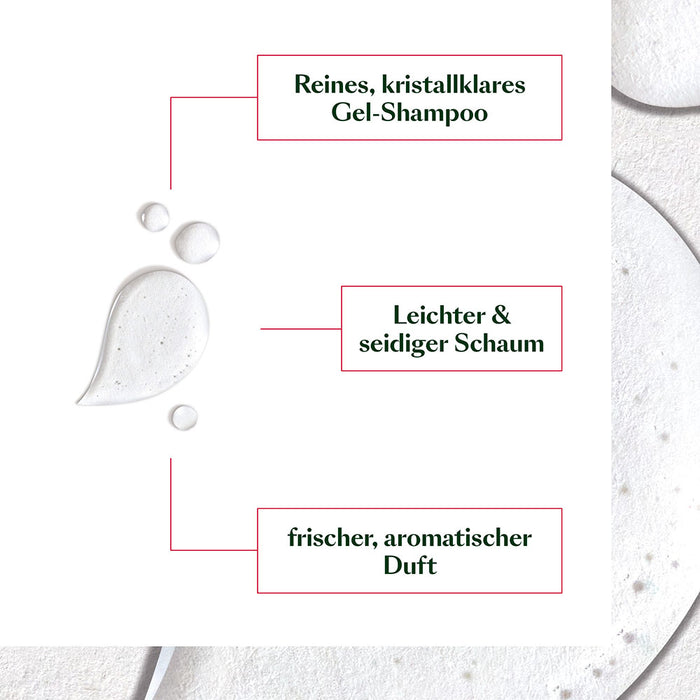 René Furterer NEOPUR Ausgleichendes Anti-Schuppen Shampoo für fettige Schuppen & Kopfhaut - bei Schuppen, 150 ml Shampoo