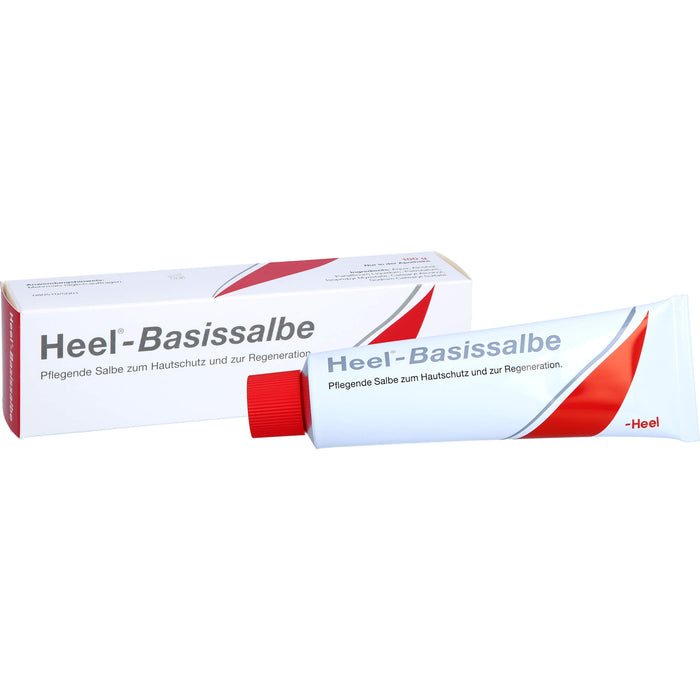 Heel-Basissalbe, 100 g SAL