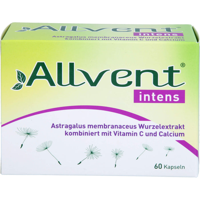 Allvent intens, 60 St KAP