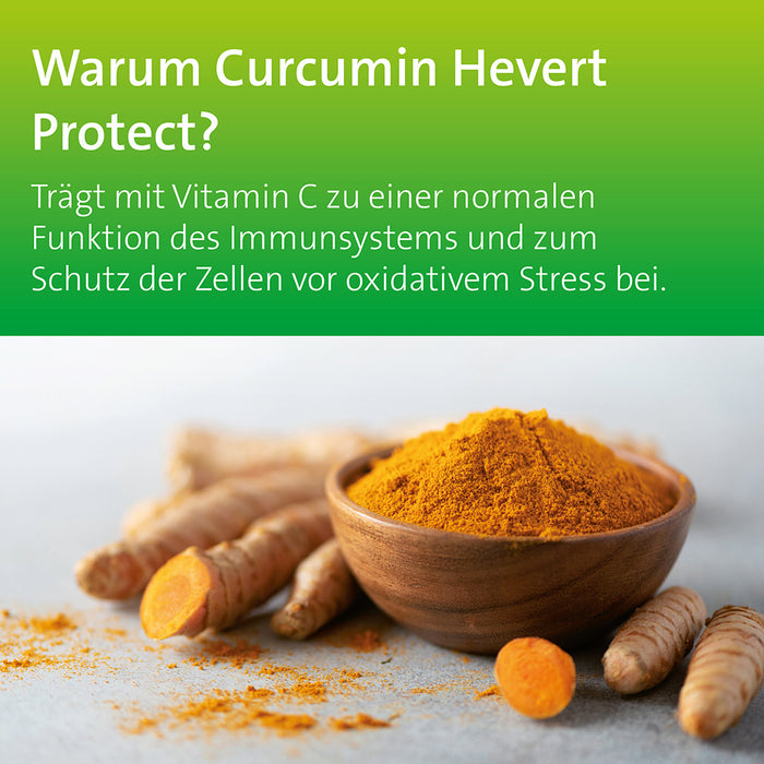 Curcumin Hevert Protect 60 Kapseln, 60 pcs. Capsules