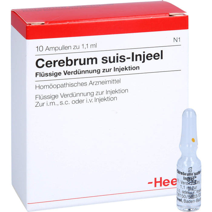 Cerebrum suis-Injeel flüssige Verdünnung, 10 St. Ampullen