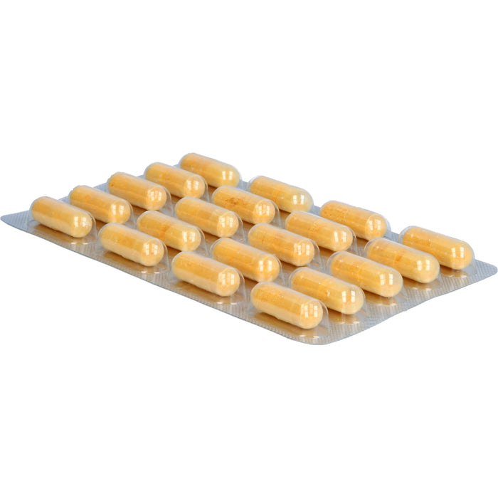 Avitale Q10 Coenzym Komplex Kapseln, 120 pc Capsules